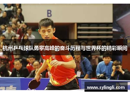 杭州乒乓球队勇攀高峰的奋斗历程与世界杯的精彩瞬间