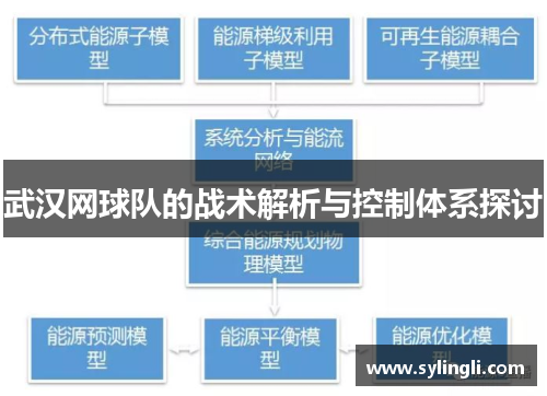 武汉网球队的战术解析与控制体系探讨