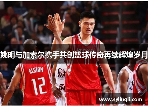 姚明与加索尔携手共创篮球传奇再续辉煌岁月