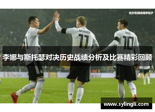 李娜与斯托瑟对决历史战绩分析及比赛精彩回顾