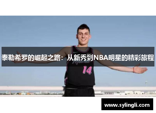 泰勒希罗的崛起之路：从新秀到NBA明星的精彩旅程